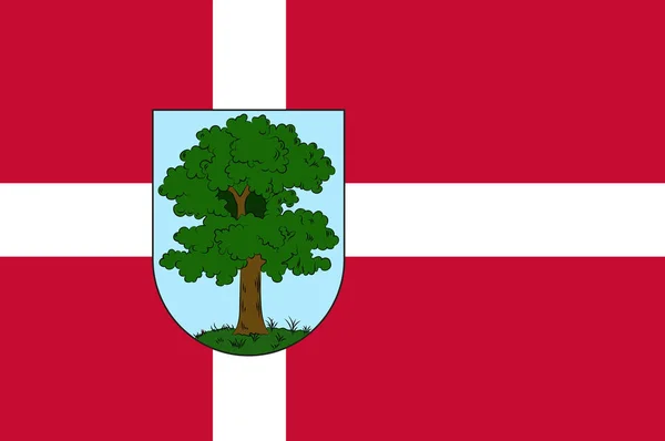 市 Hillerod 在丹麦的国旗 — 图库照片