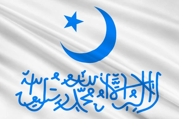 中国新疆自治区的旗子 — 图库照片