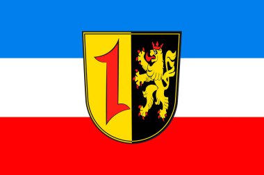 Baden-Wuerttemberg, Almanya bölgesindeki Mannheim bayrağı