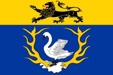 Kuzey Ren-Vestfalya, Almanya içinde Aachen bayrağı