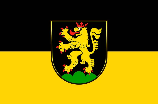 독일 바덴뷔르템베르크의 하이델베르크 국기 — 스톡 사진