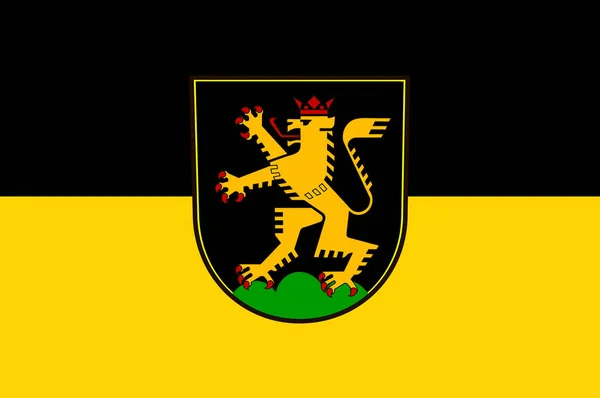 Baden-Wuerttemberg, Almanya içinde Heidelberg bayrağı — Stok fotoğraf