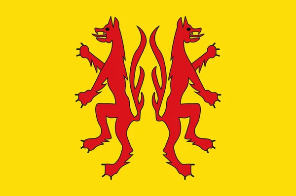Flaga Peine w dolnej Saksonii, Niemcy — Zdjęcie stockowe