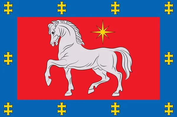 Bandiera della Contea di Utena in Lituania — Foto Stock