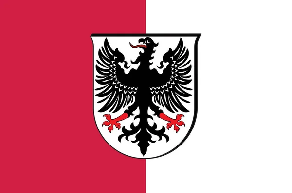Ingelheim am Rheins flagga i Mainz-Bingen av Rheinland-Palatina — Stockfoto