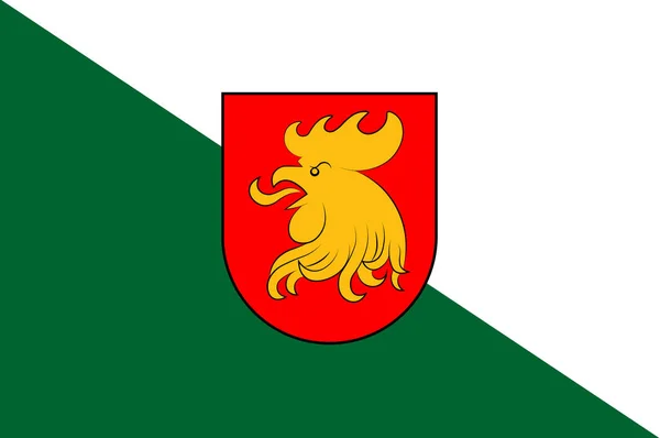 Madona-stadens flagga i Vidzeme av Lettland — Stockfoto