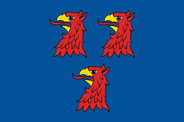 Flag of Pasewalk in Mecklenburg-Vorpommern, Germany