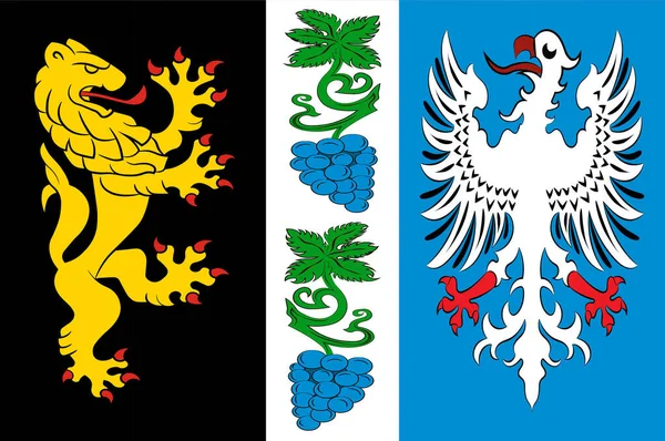 Bad Duerkheim városban, Rajna-vidék-Pfalz, Németország zászlaja — Stock Fotó