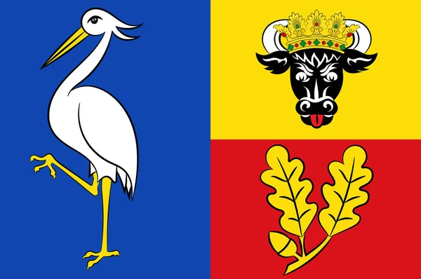 Флаг Людвигслуста-Пархима в Мекленбурге-Передней Померании, Германия — стоковое фото