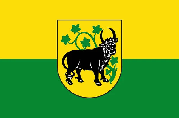 Guestrow zászlaja (Mecklenburg-Vorpommern, Németország) — Stock Fotó