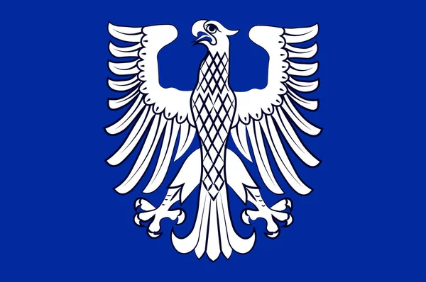 Флаг Швейнфурта в Нижней Франконии в Баварии, Германия — стоковое фото