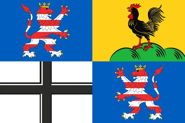 德国图林根州的瓦特堡克列斯国旗 — 图库照片