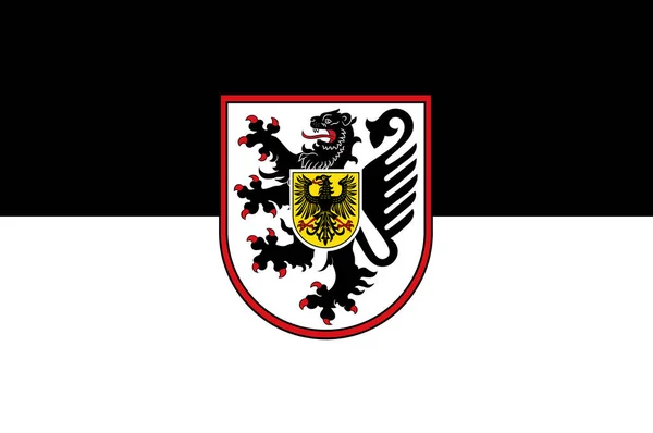 Прапор Ландау в Рейнланд-Пфальц, Німеччина — стокове фото
