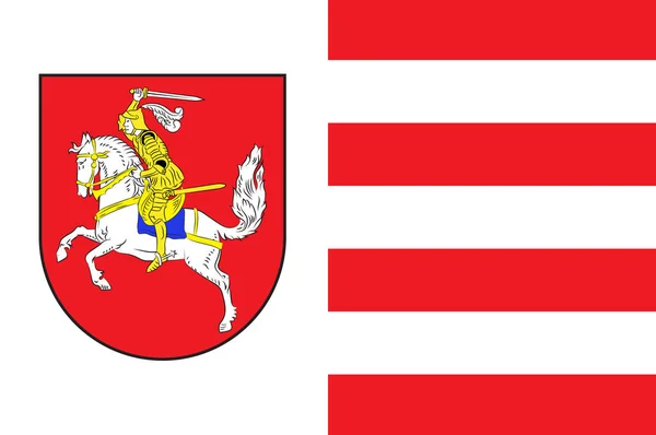 Flagge von Dithmarschen in Schleswig-Holstein in Deutschland — Stockfoto