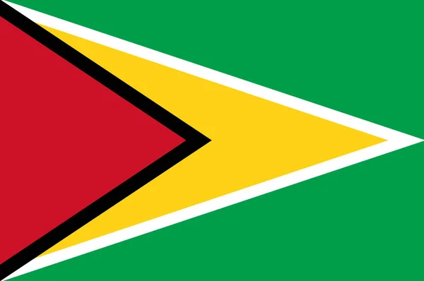 Flag of Co-operative Republic of Guyana — Stock Photo, Image