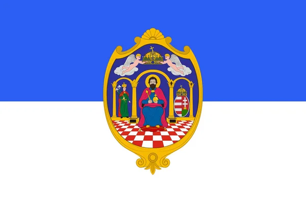 Vlajka okresu Tolna v Maďarsku — Stock fotografie