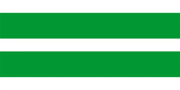 Johvis Flagga Stad Nordöstra Estland Och Huvudstaden Ida Viru Län — Stock vektor