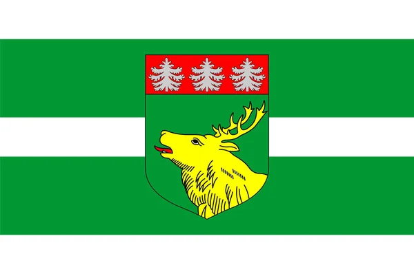 Flag Johvi 에스토니아 북동부에 도시로 비루군 Ida Viru County 주도이다 — 스톡 벡터