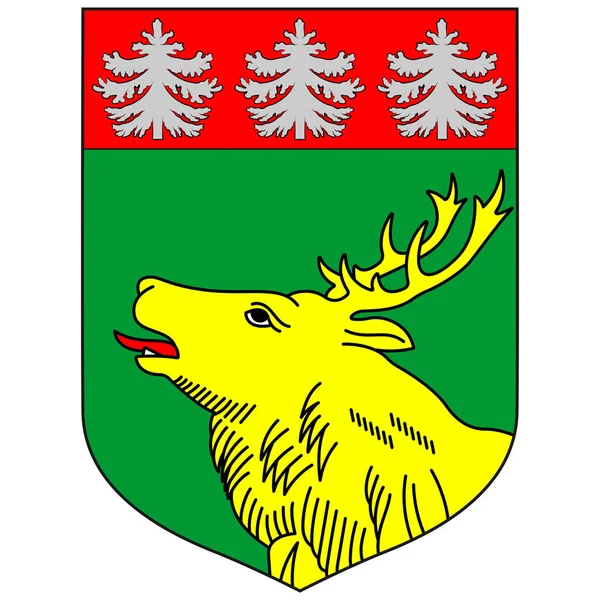 Das Wappen Von Johvi Ist Eine Stadt Nordosten Estlands Und — Stockvektor