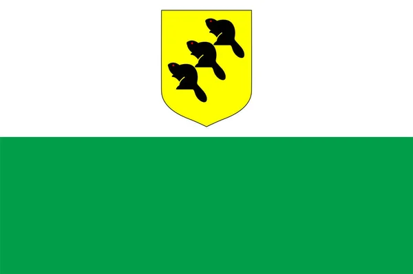 Flag Polva Een Van County Van Estland Vectorillustratie — Stockvector