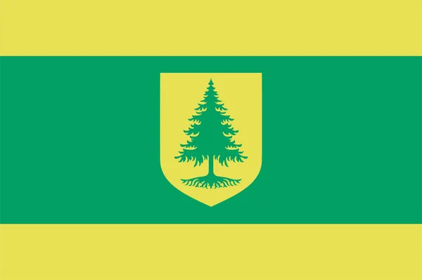 Die Flagge Von Voru Ist Eine Stadt Und Gemeinde Südosten — Stockvektor