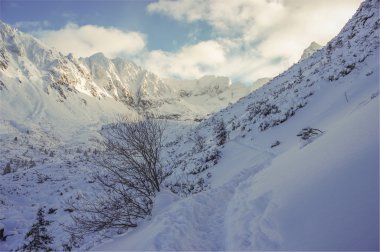 Kış manzarası. Yüksek Tatras.