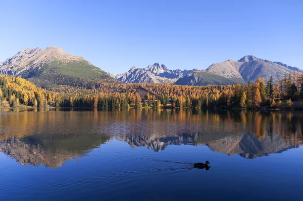 Magnifique vue sur le lac à l'automne — Photo