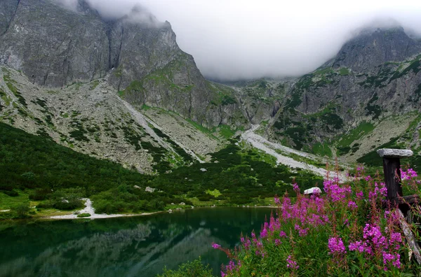 Danau hijau di High Tatras. Slowakia — Stok Foto