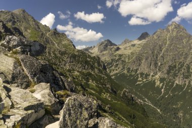Panorama dağ yaz manzarası. Tatry. Slovakya.