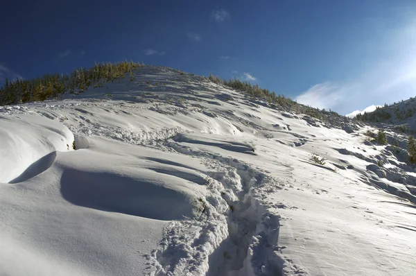 Schöne Landschaft der schneebedeckten Berge — Stockfoto