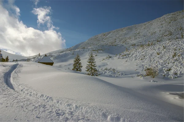 Panorama mountain kış manzarası