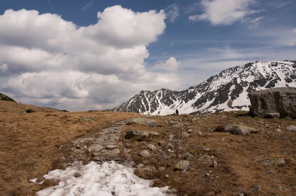 Panorama montanha primavera paisagem — Fotografia de Stock