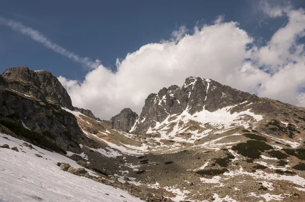 Panorama montanha primavera paisagem — Fotografia de Stock