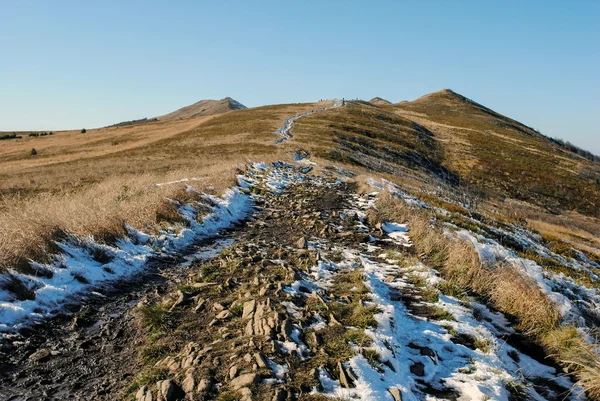 Panorama dağ sonbahar manzarası