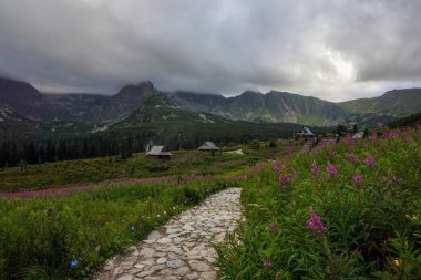 Tatra Dağları'nda bir dağ vadinin güzel manzara