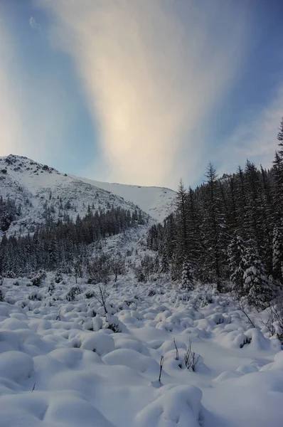 Hermoso paisaje de montañas nevadas. Tatry. — Foto de Stock