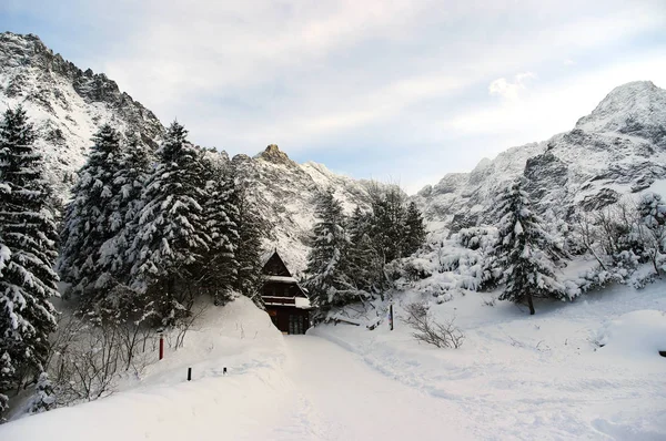 雪に覆われた山々 の美しい風景 — ストック写真