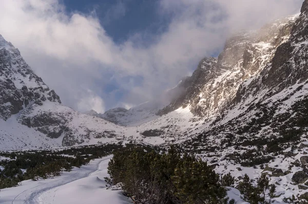 Panorama mountain kış manzarası. Tatry. Slovakya