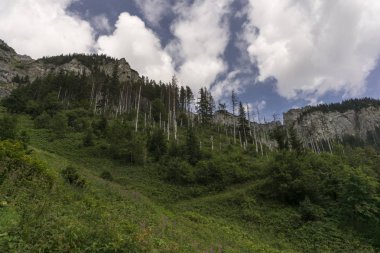 Görünüm Belianske Tatry dağlara, Slovakya
