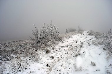 Sisli ve donuk peyzaj dağlar. Bieszczady. Polonya
