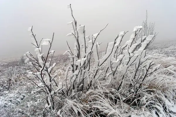 Bieszczady의 산 서리가 내린 풍경 — 스톡 사진