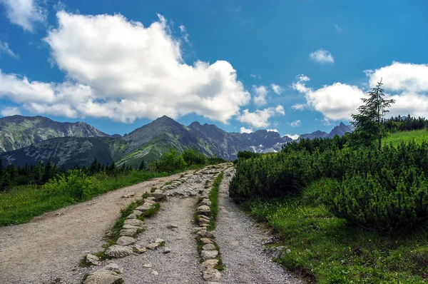 Fantastiska sommarlandskap från ett spår i Tatrabergen. Polen — Stockfoto