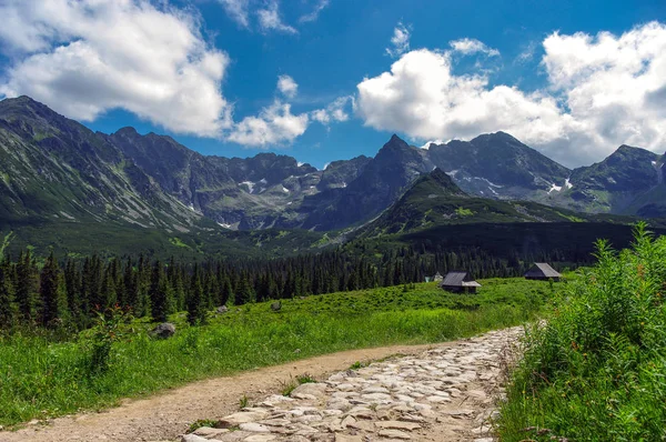 Mavi gökyüzünün altında inanılmaz yaz Dağları Panoraması — Stok fotoğraf
