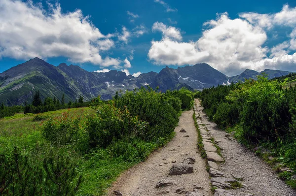 Vackra landskapet i Tatrabergen — Stockfoto