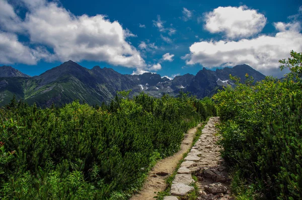 Tatrabergen. Sommarlandskap. — Stockfoto