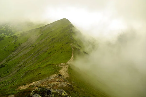 Mountain ridge in fog. Tatra Mountains