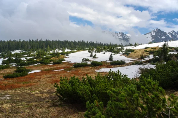 Panorama montaña primavera paisaje. Tatry. — Foto de Stock