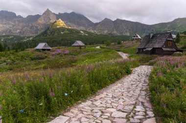 Güzel öğleden sonra manzara dağ vadinin Tatra mo