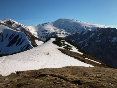 Tatra Dağları'nda bahar. 