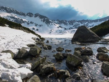 Yüksek Tatras manzarada bahar